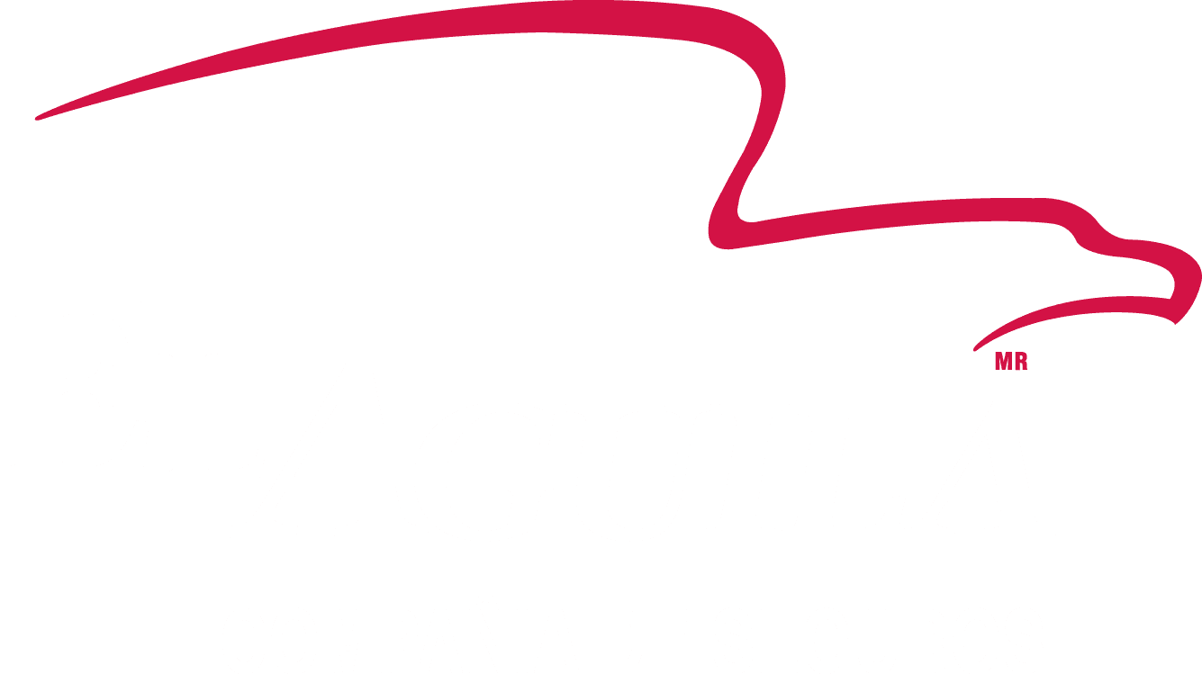 El Águila Seguros